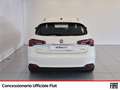 Fiat Tipo 5p 1.3 mjt street s&s 95cv my20 Wit - thumbnail 5
