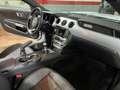 Ford Mustang Fastback 2.3 EcoBoost Bílá - thumbnail 9