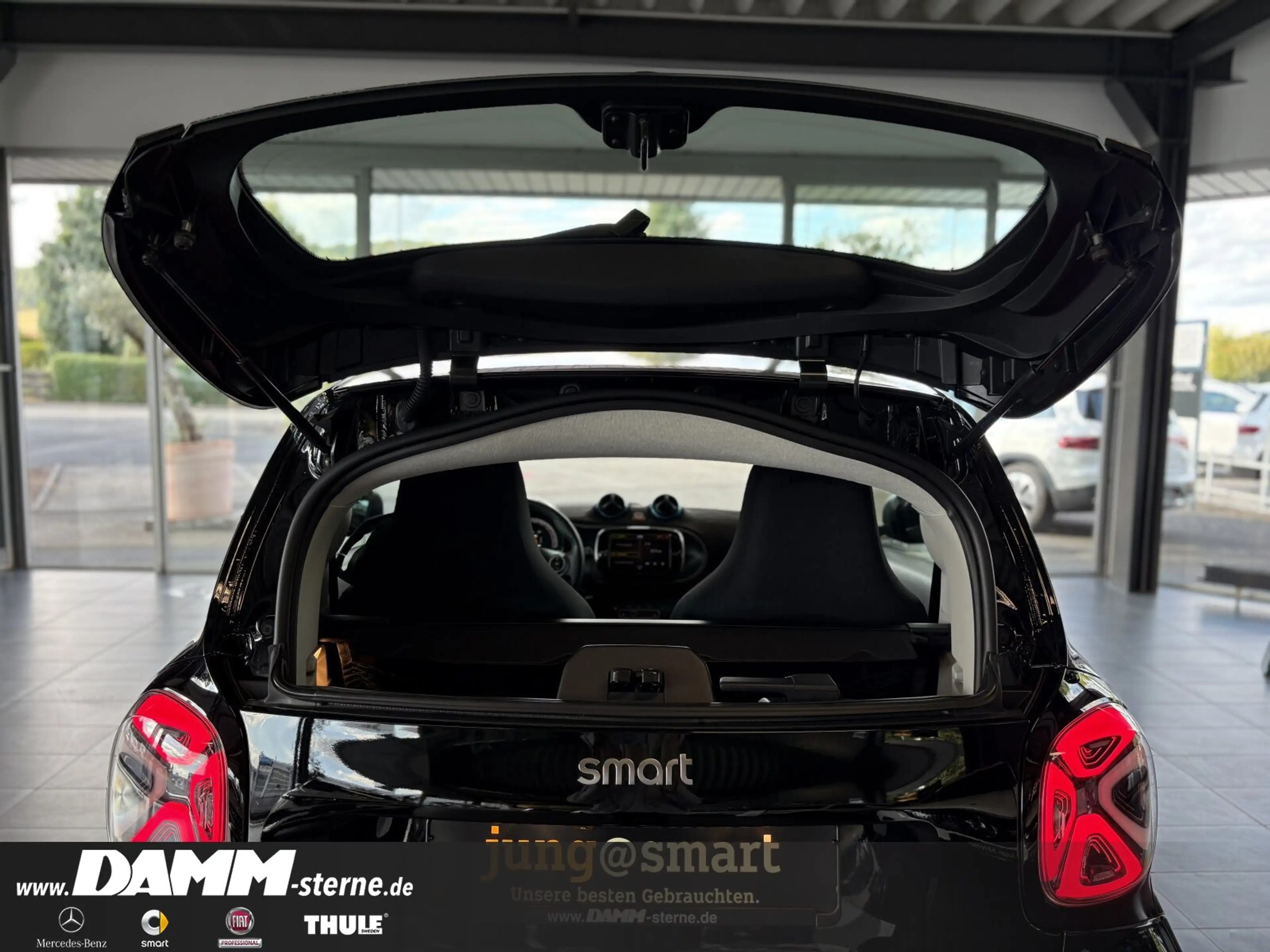 smart forTwo EQ Passion/Exclusive/22 kW/LED/Winter-P. — photo 13