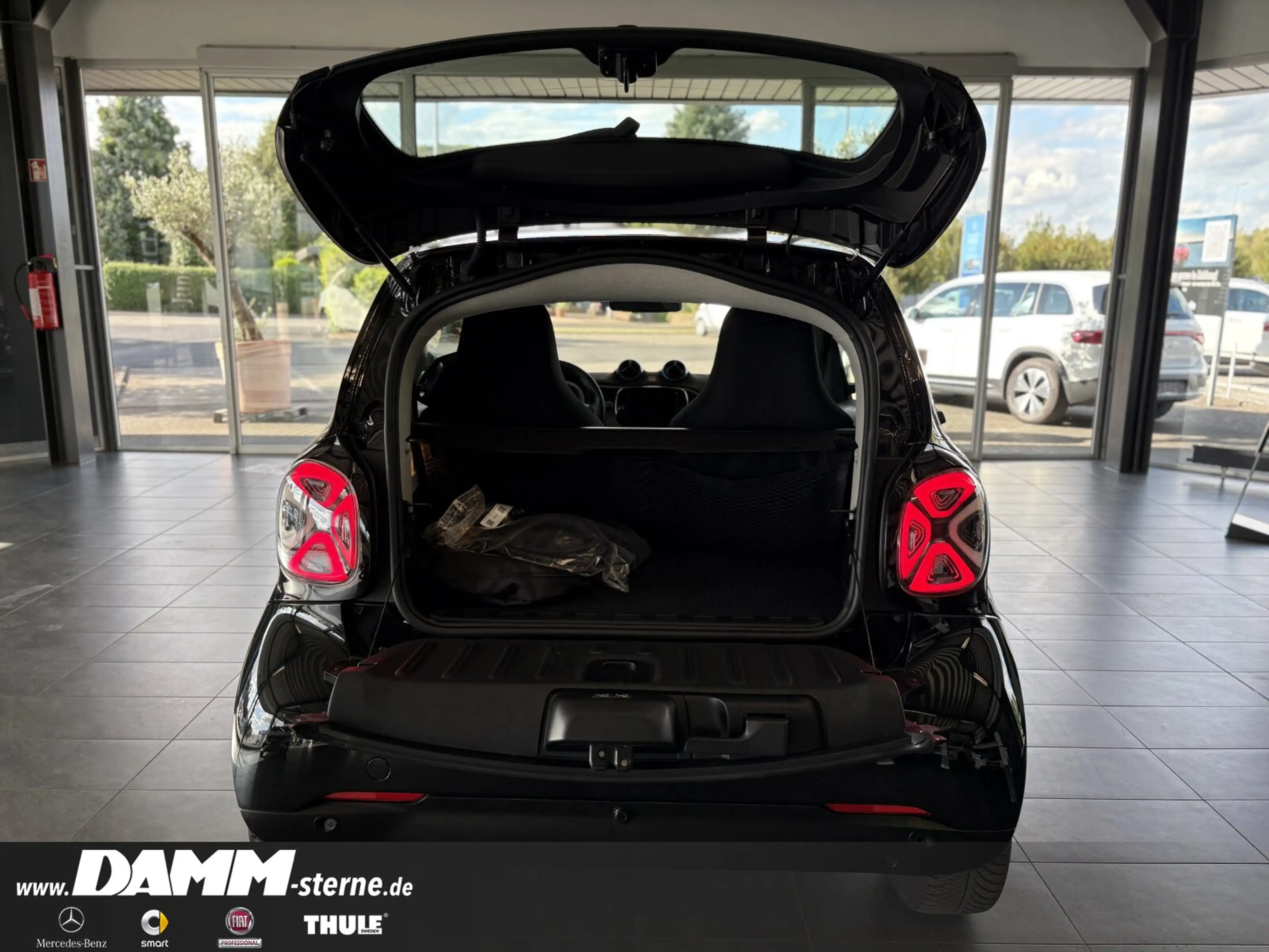 smart forTwo EQ Passion/Exclusive/22 kW/LED/Winter-P. — photo 14