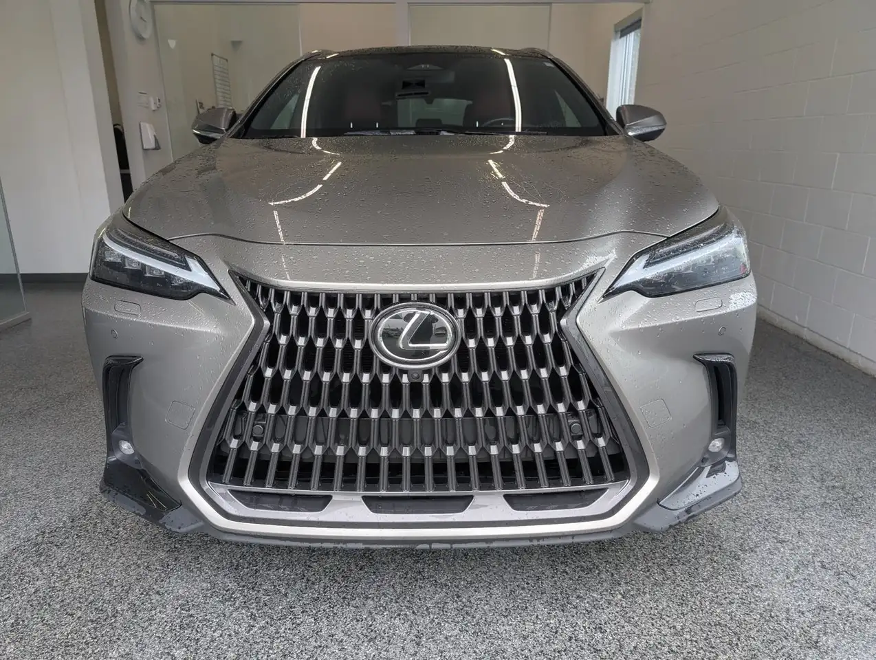 Lexus NX photo Lexus NX