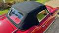 Alfa Romeo Giulia spider 1600 Rouge - thumbnail 48
