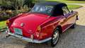Alfa Romeo Giulia spider 1600 Rouge - thumbnail 5