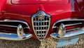 Alfa Romeo Giulia spider 1600 Rouge - thumbnail 37