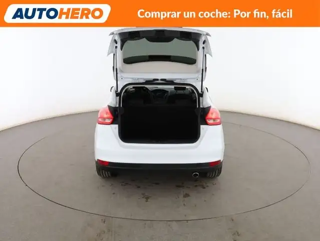 Ford Focus view 17