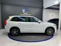 Volvo XC90 B5 Business Plus 7pl. AWD Aut. Blanco - thumbnail 2