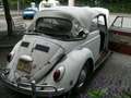 Volkswagen Käfer Cabriolet Dickholmer z.Restaurieren 1964 Bianco - thumbnail 14