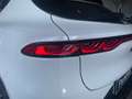 Alfa Romeo Tonale SPRINT 2024 - KM0 | 130CV HYBRID Bianco - thumbnail 9