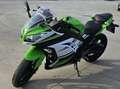 Kawasaki Ninja 300 ABS 30th Anniversary Зелений - thumbnail 5