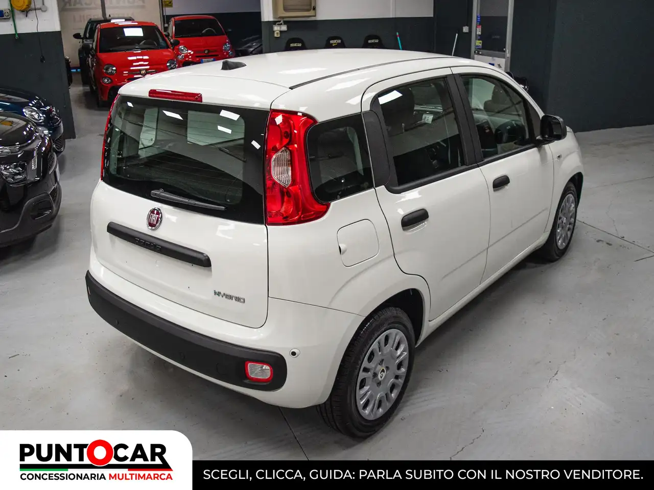 Fiat Panda Pandina 1.0 FireFly 65 CV Hybrid Icon PROMO FLEX, миниатюра 6