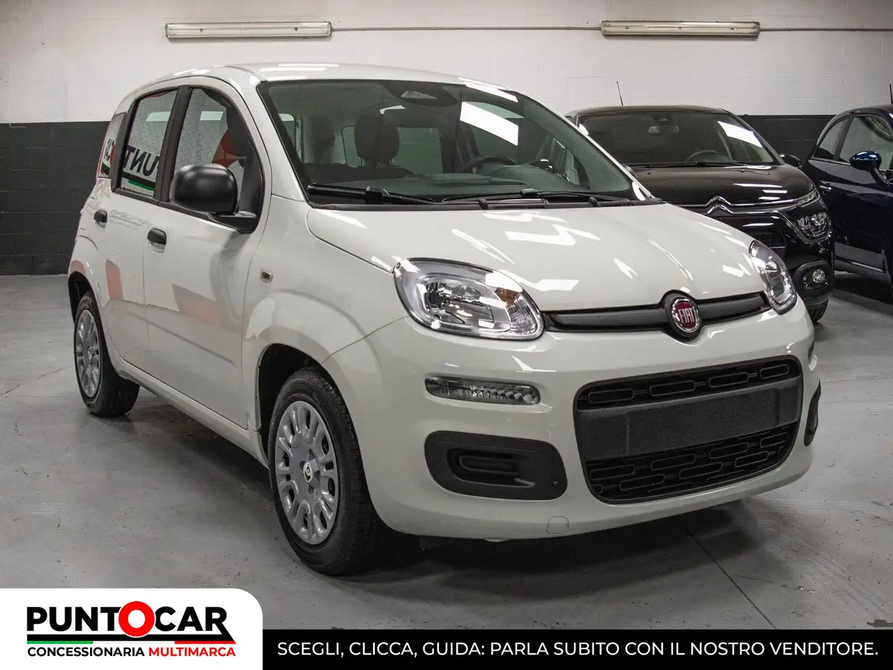 Fiat Panda Pandina 1.0 FireFly 65 CV Hybrid Icon PROMO FLEX, миниатюра 2