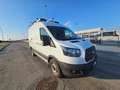 Ford Transit 350 2.0TDCi EcoBlue 130CV 4WD PM-TM ALLESTITO Bianco - thumbnail 6