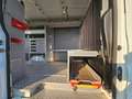 Ford Transit 350 2.0TDCi EcoBlue 130CV 4WD PM-TM ALLESTITO Bianco - thumbnail 8