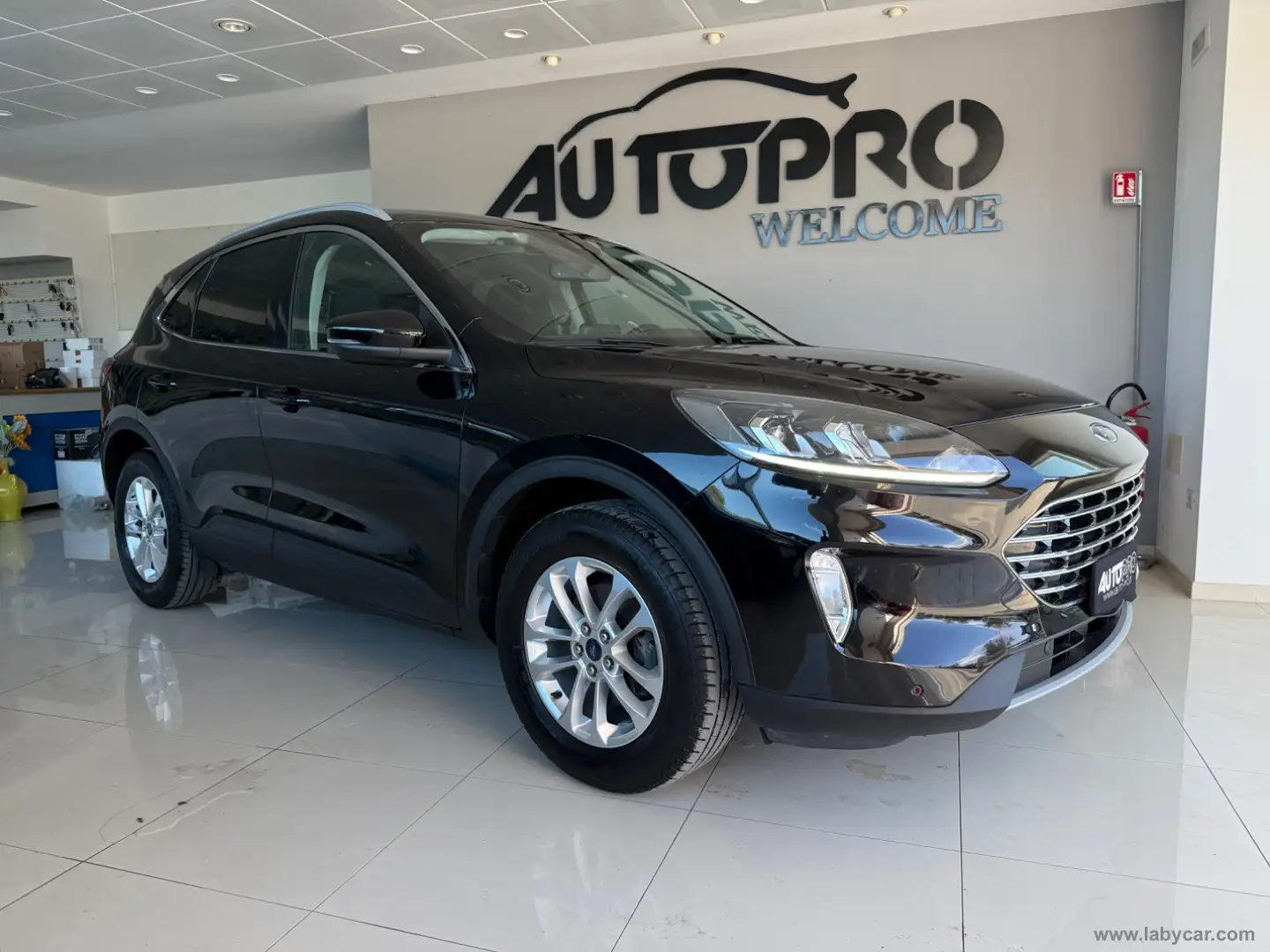 Ford Kuga 2.0 EcoBlue Hybrid 150 CV 2WD Tit. Nero - 2