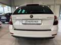 Skoda Octavia Abstandstempomat/SHZ/LED/PDC/Bluetooth Weiß - thumbnail 5