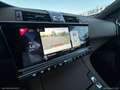 DS Automobiles DS 7 Crossback DS 7 Crossback BlueHDi 130 aut. Business Wit - thumbnail 30