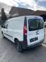 Renault Kangoo Kangoo 1.5 dCi Kasten mit Klima AC MwSt ausweisbar Wit - thumbnail 4