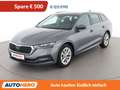 Skoda Octavia 2.0 TDI Style Grau - thumbnail 1