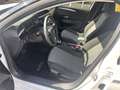 Opel Corsa-e Edition +ALU+ALLWETTER+SITZHEIZUNG+ Blanc - thumbnail 15