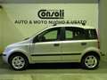 Fiat Panda PANDA 1.2 60CV OK NEOPATENTATI Argent - thumbnail 6