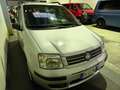 Fiat Panda PANDA 1.2 60CV OK NEOPATENTATI Argent - thumbnail 4