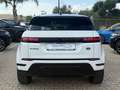 Land Rover Range Rover Evoque 2.0D  163 CV AWD Auto SE N1 100% Detraibile Blanc - thumbnail 4