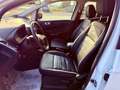 Ford EcoSport ACTIVE - KM 49.000 - STRA FULL - PROMO FINANZIAMEN Blanc - thumbnail 8
