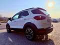 Ford EcoSport ACTIVE - KM 49.000 - STRA FULL - PROMO FINANZIAMEN Blanc - thumbnail 6
