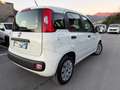 Fiat Panda 1.2 69cv E6 - NEOPATENTATI - - thumbnail 4