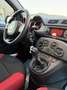 Fiat Panda 1.2 69cv E6 - NEOPATENTATI - - thumbnail 12