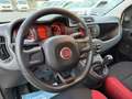Fiat Panda 1.2 69cv E6 - NEOPATENTATI - - thumbnail 8