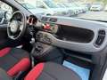 Fiat Panda 1.2 69cv E6 - NEOPATENTATI - - thumbnail 11