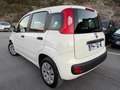 Fiat Panda 1.2 69cv E6 - NEOPATENTATI - - thumbnail 3