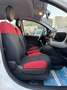 Fiat Panda 1.2 69cv E6 - NEOPATENTATI - - thumbnail 9
