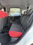 Fiat Panda 1.2 69cv E6 - NEOPATENTATI - - thumbnail 13