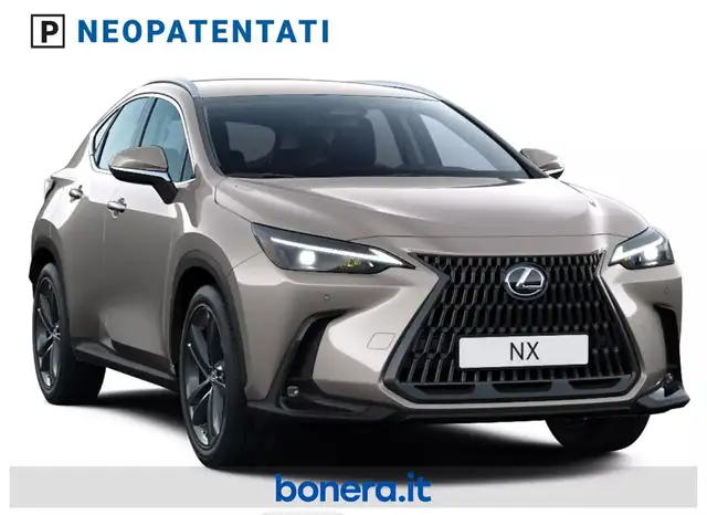 Lexus NX view 2