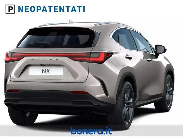 Lexus NX view 4