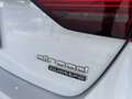 Audi A4 allroad 2ª serie 40 TDI 204 CV S tronic Business Evolution Bianco - thumbnail 12