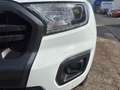 Ford Ranger Wildtrak Doppelkabine 4x4 LEDER AHK !!! Weiß - thumbnail 22