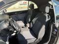 Volkswagen New Beetle New Beetle Cabrio 1.9 tdi 100cv - thumbnail 16