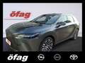 Lexus RX 350 h Executive Line Pano Dach / Techpaket Grau - thumbnail 1