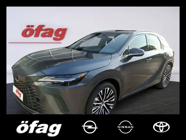 Lexus RX 350h Executive Line Pano Dach / Techpaket