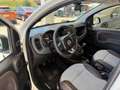 Fiat Panda 1.3 MJT 80 CV S&S 4x4 Beige - thumbnail 9