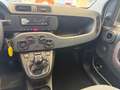Fiat Panda 1.3 MJT 80 CV S&S 4x4 Beige - thumbnail 12