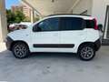 Fiat Panda 1.3 MJT 80 CV S&S 4x4 Beige - thumbnail 8
