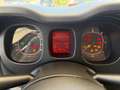Fiat Panda 1.3 MJT 80 CV S&S 4x4 Beige - thumbnail 11