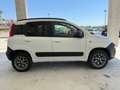 Fiat Panda 1.3 MJT 80 CV S&S 4x4 Beige - thumbnail 4