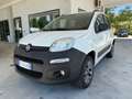 Fiat Panda 1.3 MJT 80 CV S&S 4x4 Beige - thumbnail 1