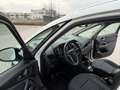 Opel Zafira Tourer 1.4 t Cosmo Gpl-tech 140cv - thumbnail 15