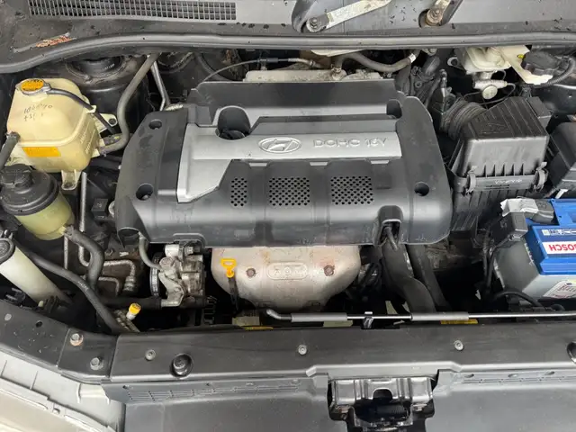 Hyundai Trajet view 28